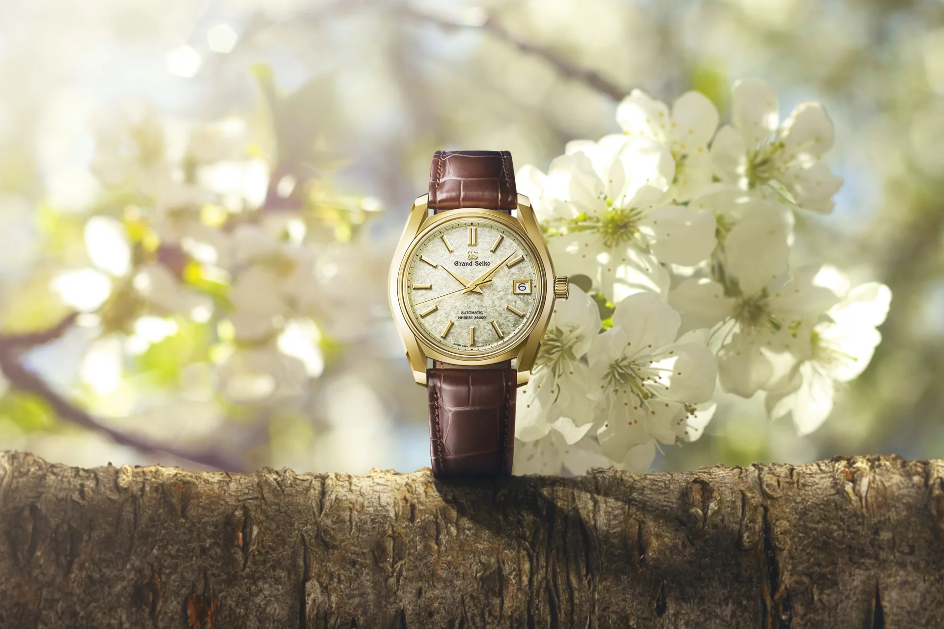 Grand Seiko SBGH376J, reference SBGH376J, yellow gold case