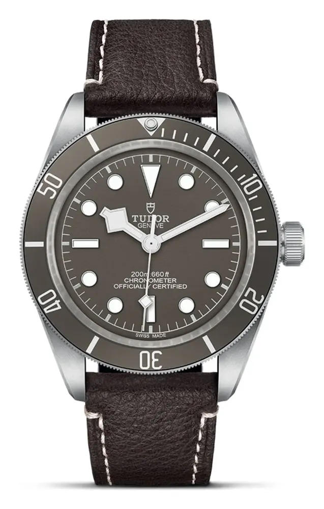 Tudor Black Bay 58 925, reference 79010SG-0001, silver case